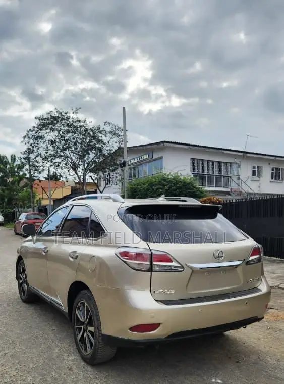 Lexus RX 2013