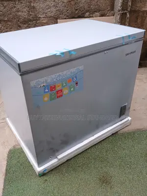 Large Capacity SKYRUN 260L Chest Freezer