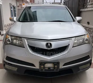 Acura MDX 2010 Silver