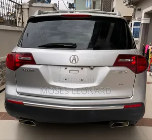 Acura MDX 2010 Silver