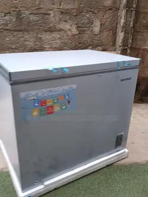 SKYRUN 260L Food Storage Freezer – Brand New