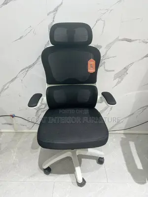 Office Chair With Lumbar Support