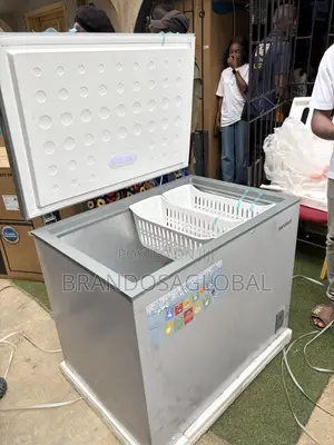 SkyRun BD-260A Chest Freezer 260L Deep Freezer