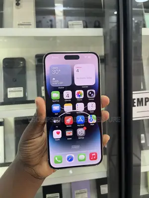 Apple iPhone 14 Pro Max 256 GB Silver