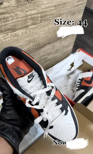2024 Dunk Low ‘Vintage Coral’ (USA)