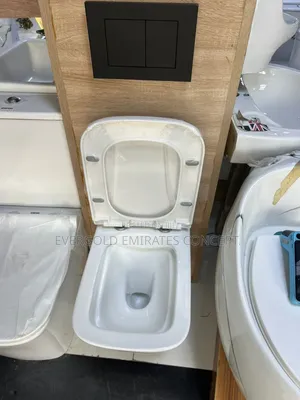 Concealed Water Closet With Complete Accessories Available