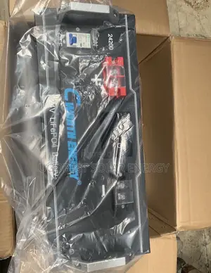 5kwh 24v Cworth Lithium Battery
