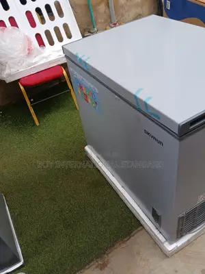 Spacious SKYRUN Deep Freezer 260L – Ready for Use