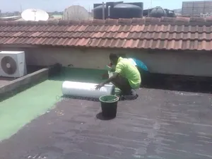 Roof Leakages