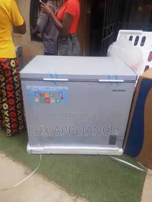 Skyrun 260L Deep Freezer BD260A