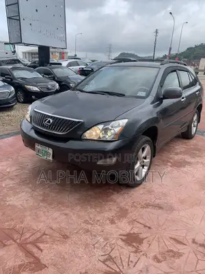 Lexus RX 2007 Gray