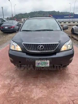 Lexus RX 2007 Gray
