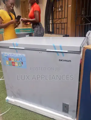 Skyrun BD260A Large Capacity Freezer