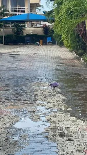Interlocking/ Concrete Floor Washing
