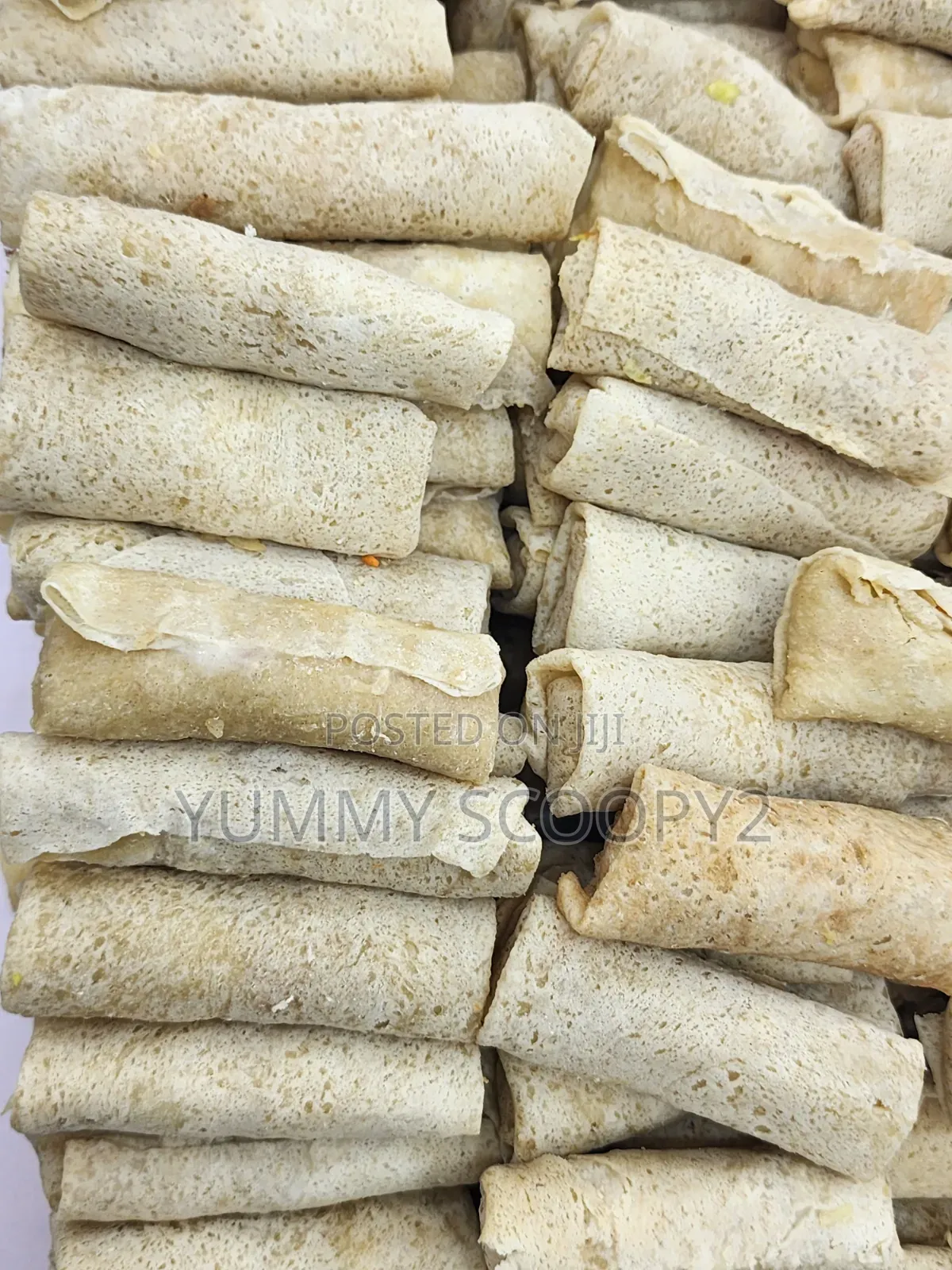 Ready to Fly Spring Roll and Samosa