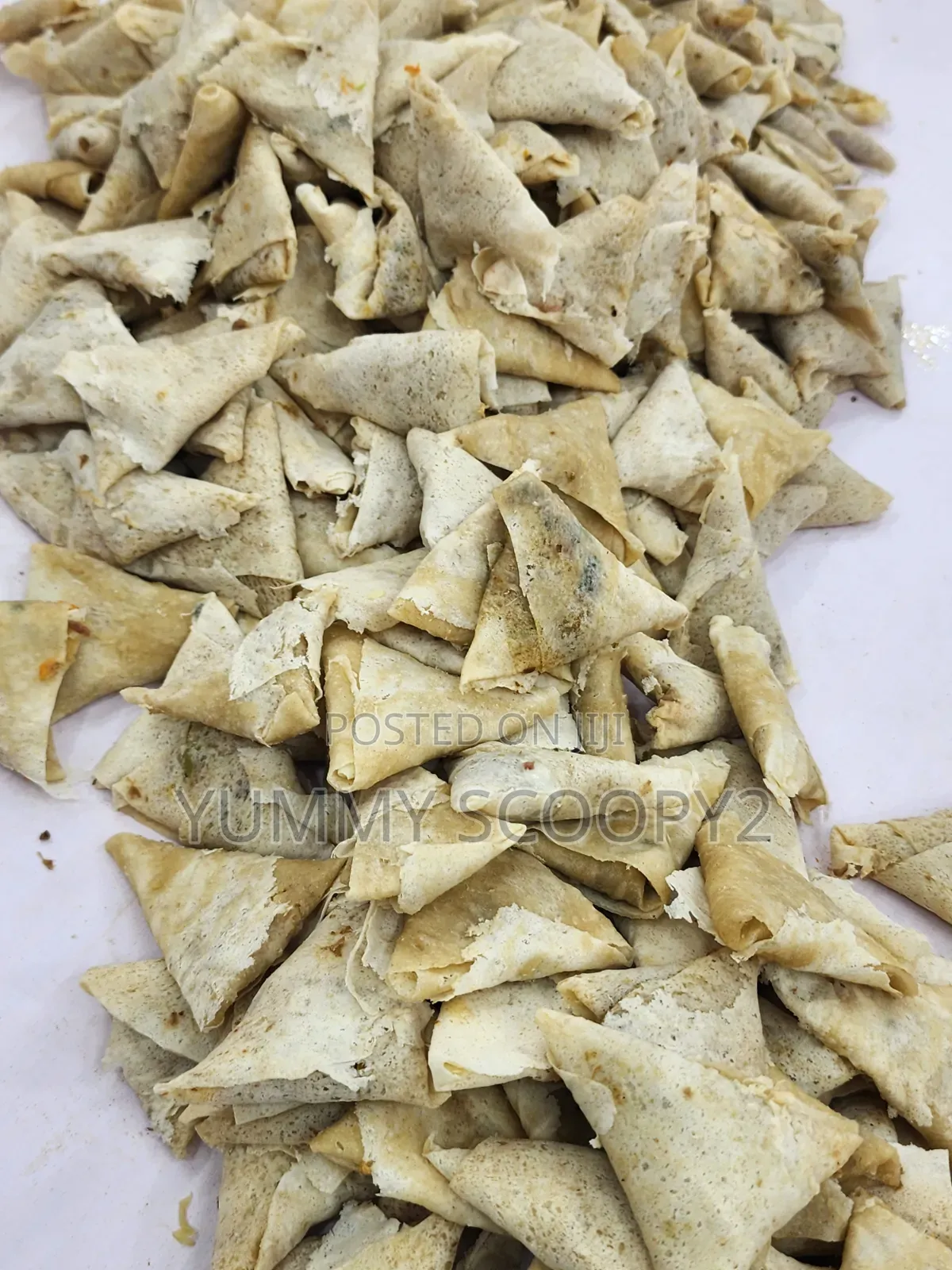 Ready to Fly Spring Roll and Samosa