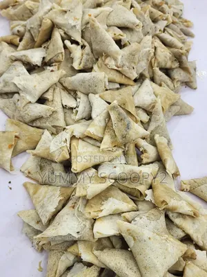 Ready to Fly Spring Roll and Samosa