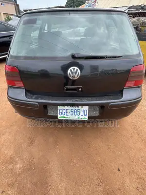 Volkswagen Golf 2004 Gray