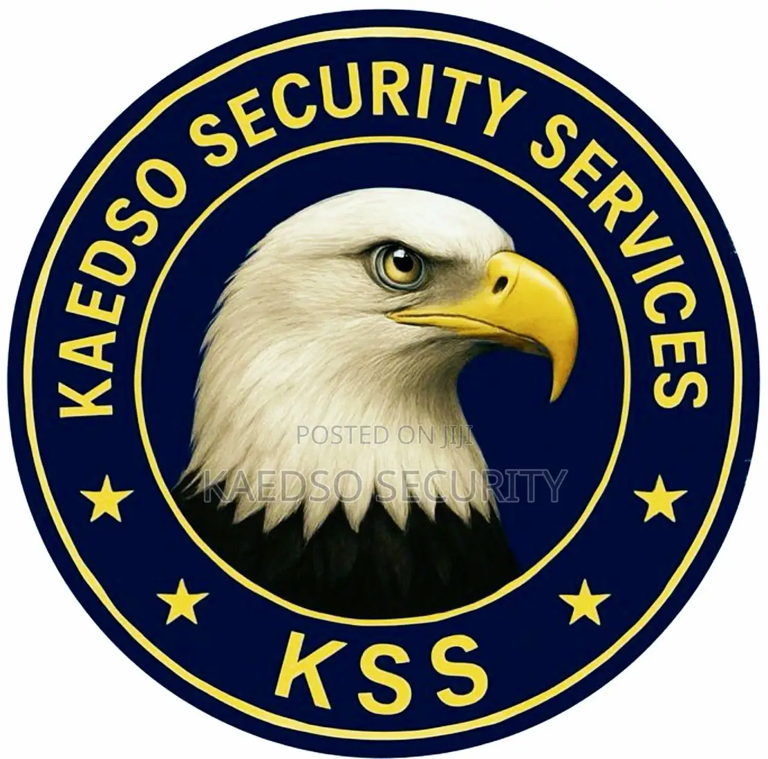Kaedso Security Services Limited