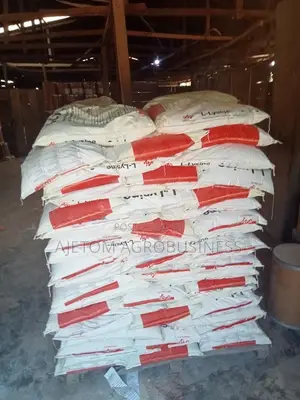 L-Lysine Additive