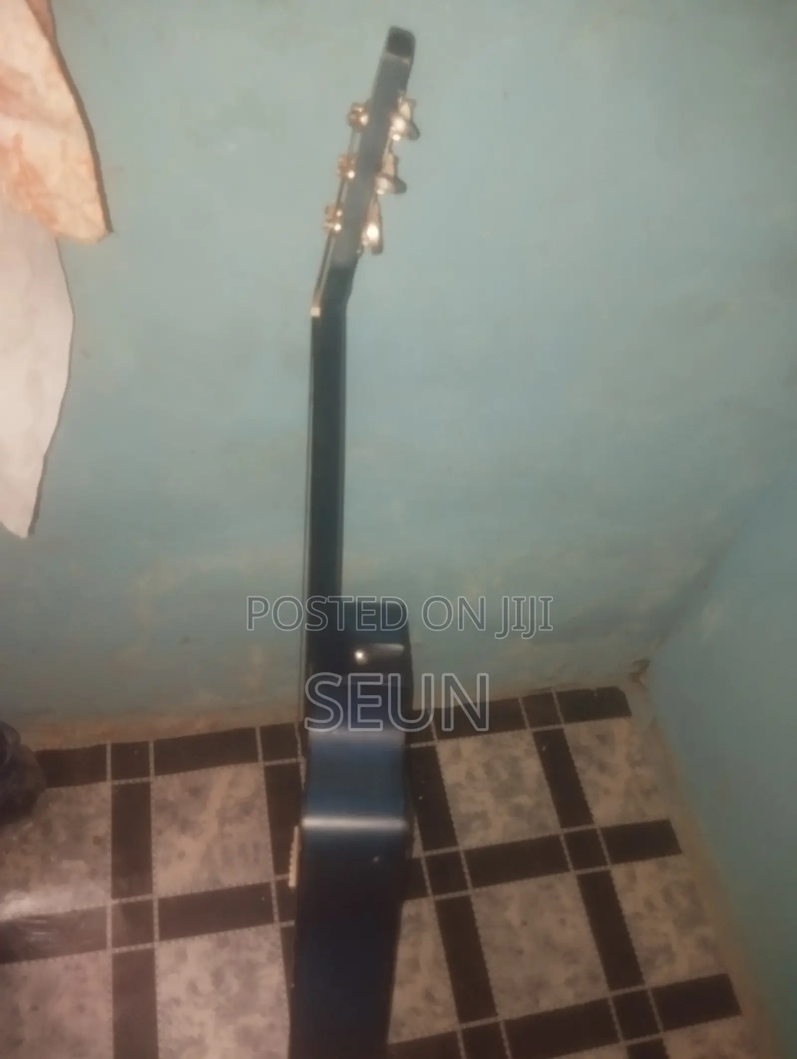 Acoustic Guitar