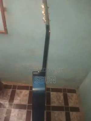 Acoustic Guitar