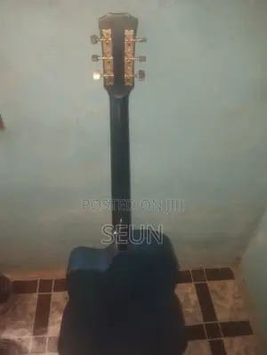 Acoustic Guitar