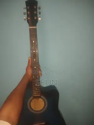Acoustic Guitar