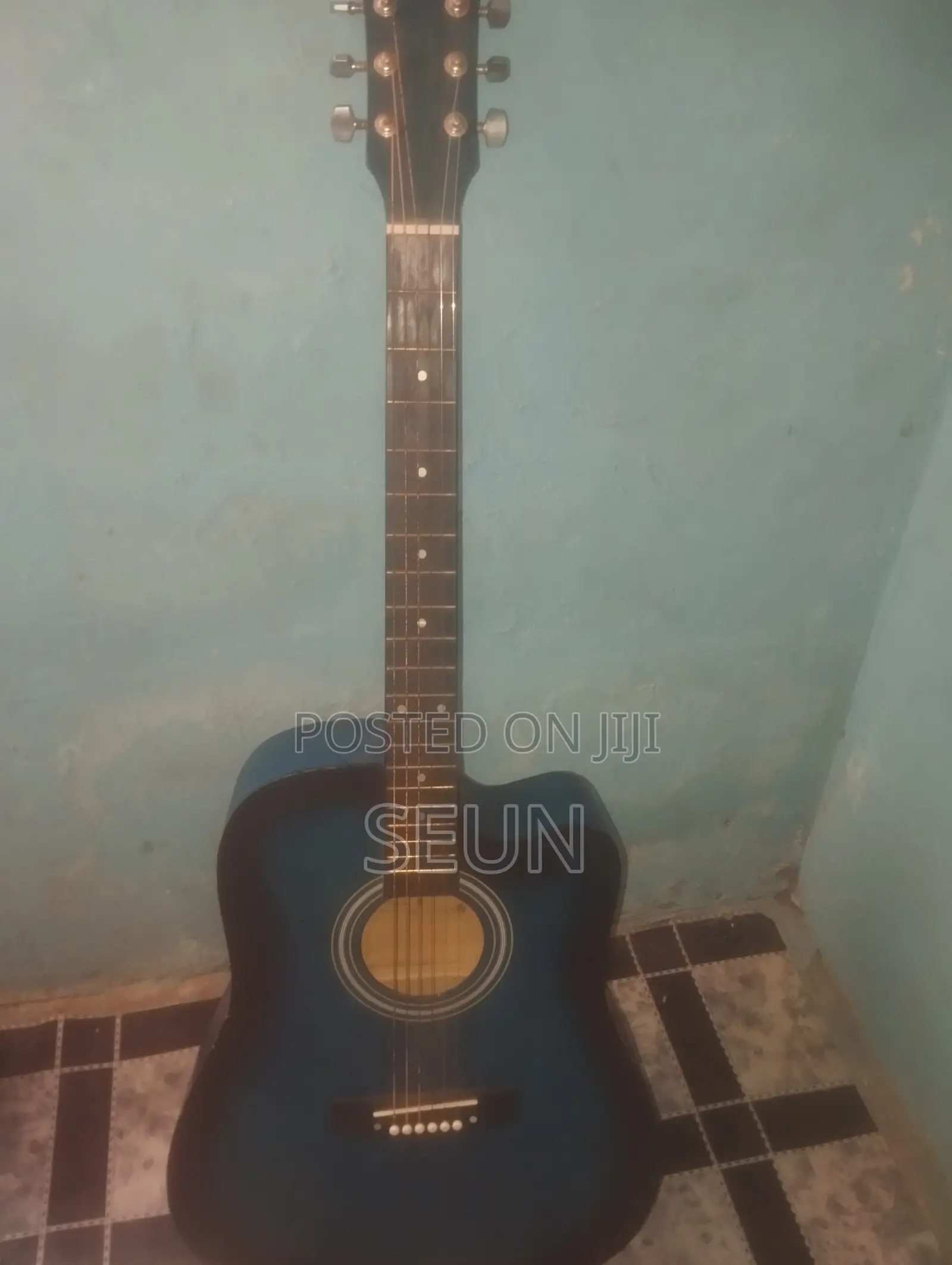 Acoustic Guitar