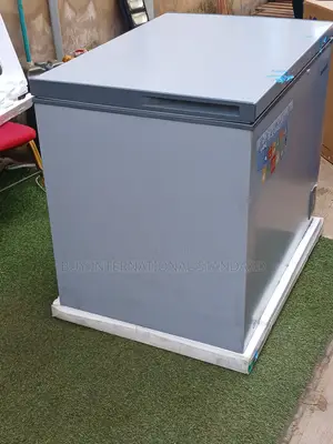 260L SKYRUN Chest Freezer – Great for Frozen Food Business