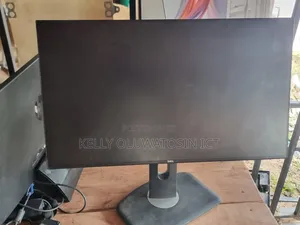 Dell  P2422H