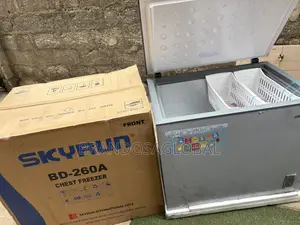 SkyRun BD-260A Chest Freezer for Shops