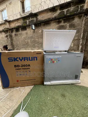 SkyRun BD-260A Deep Freezer for Frozen Foods