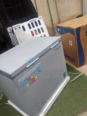 Skyrun BD-260A 260L Freezer for Business