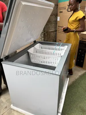 SkyRun BD-260A Large Capacity Deep Freezer