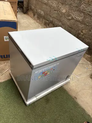 SkyRun BD-260A Large Capacity Deep Freezer