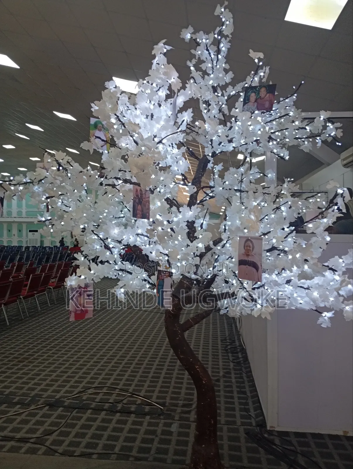 Decorator and Event Planner