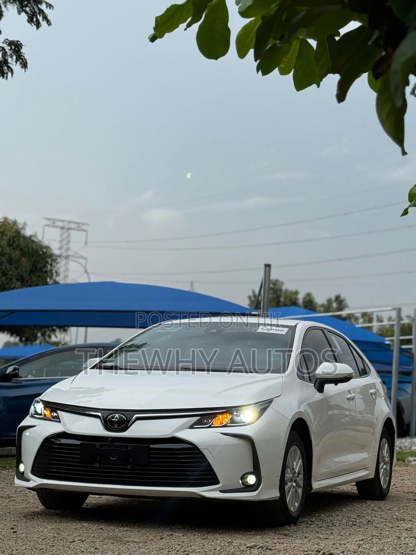 Toyota Corolla XLE 2020 White