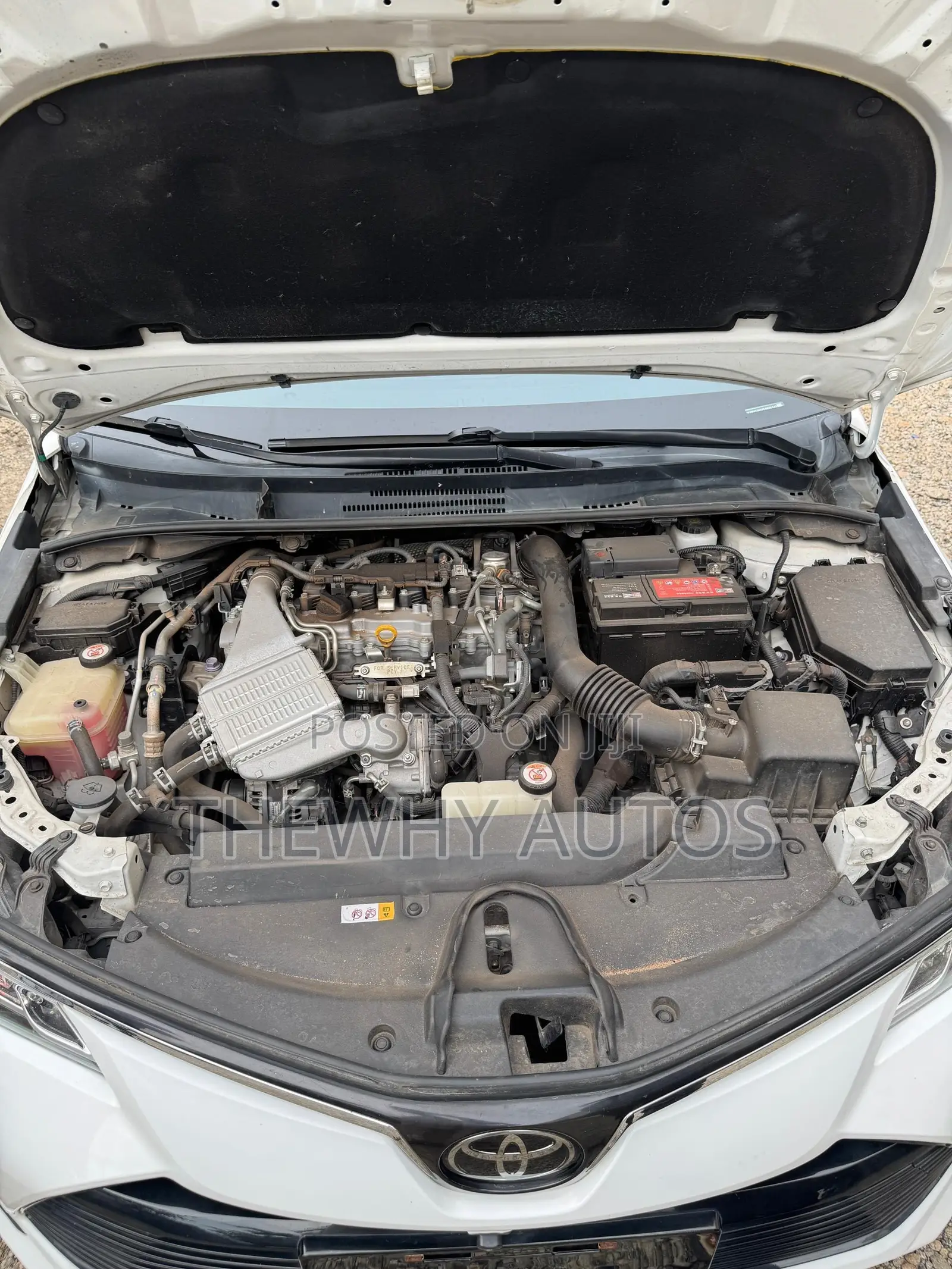 Toyota Corolla XLE 2020 White