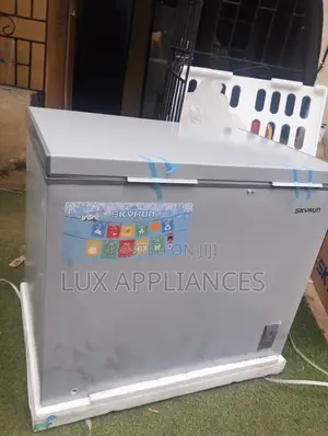 Skyrun BD-260A 260L Cold Storage Freezer
