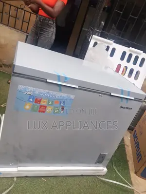 Skyrun 260L Chest Freezer for Restaurants