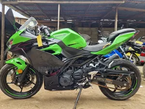 Kawasaki Ninja 400 2020 Green