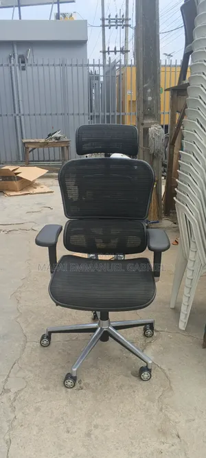 Ergo Human Orthopedic Chair