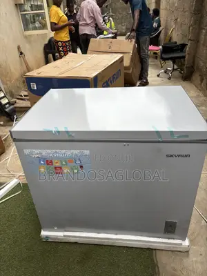 SkyRun BD-260A Chest Freezer for Retail Use