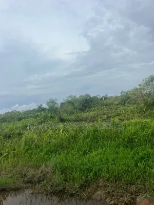 50plots Available at Coastoroad Estate