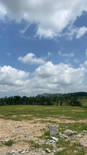 Estate Plots of Land