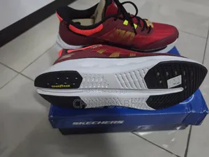 Sketchers Trainers