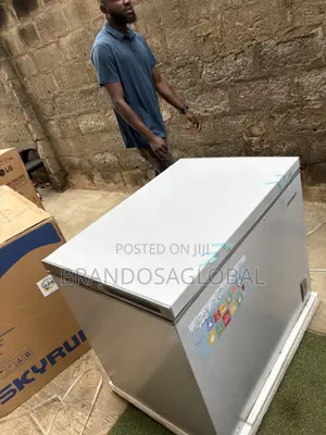 SkyRun BD-260A Chest Freezer for Grocery Storage
