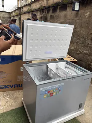 SkyRun BD-260A 260L Food Business Freezer