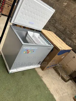 SkyRun BD-260A Deep Freezer for Home and Shop